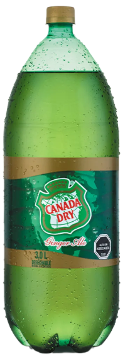 Bebida de Fantasía 3L Ginger Ale